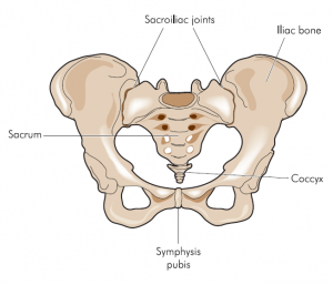 SI-joint